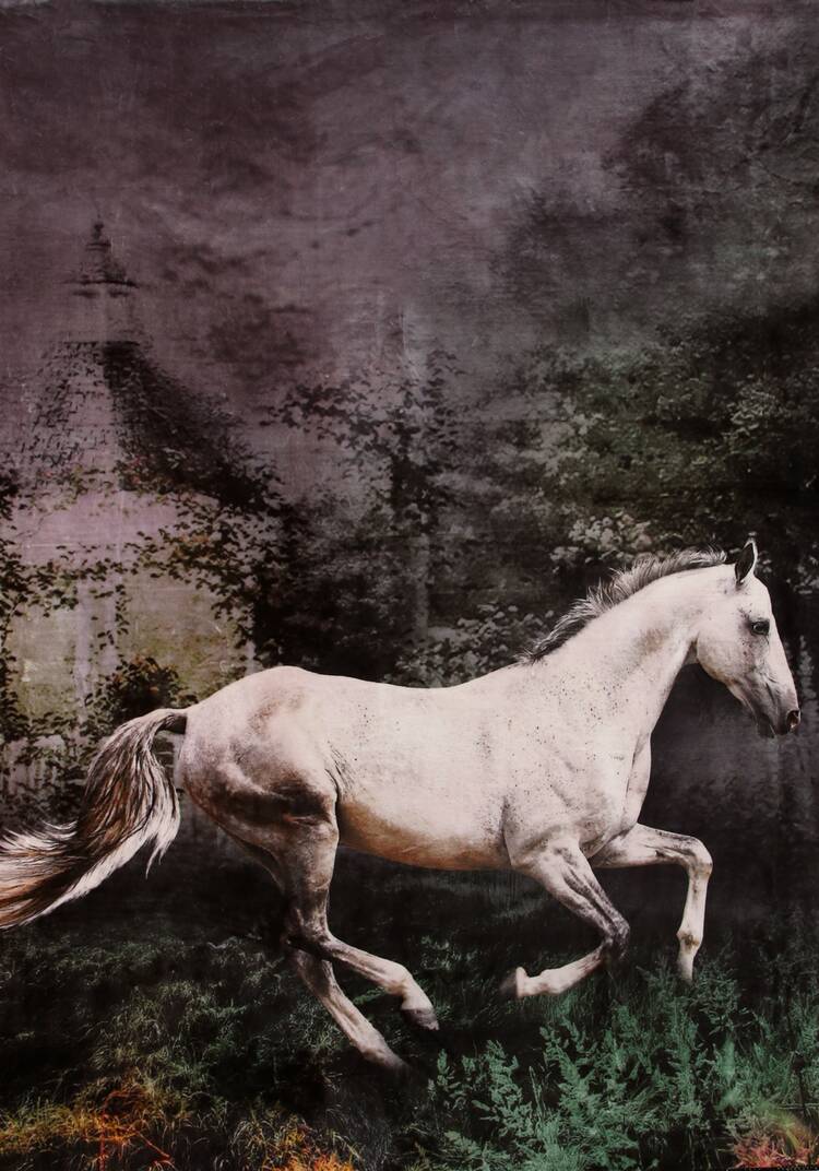 Плед-покрывало с принтом шир.  750, рис. 10