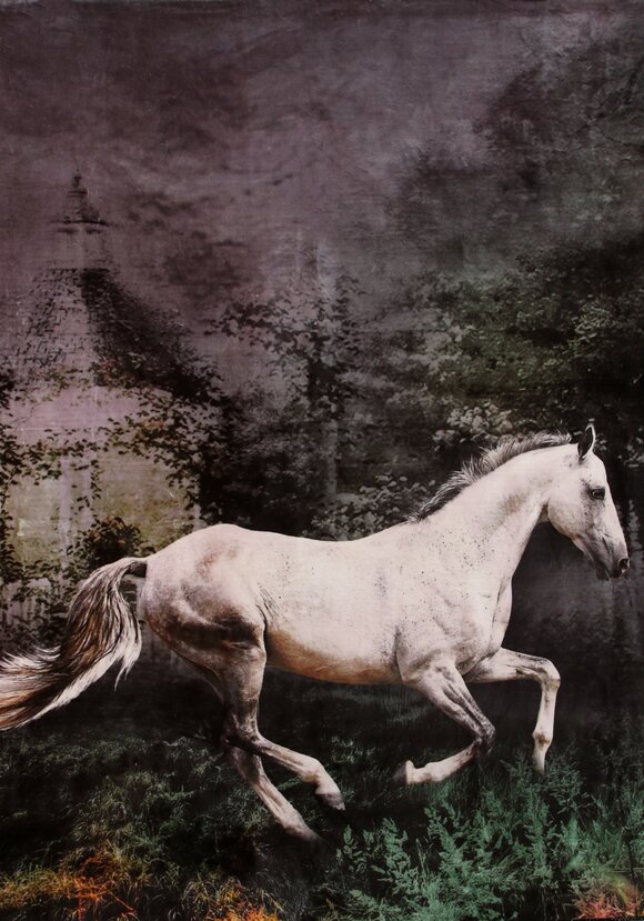 Плед-покрывало с принтом шир.  580, рис. 10