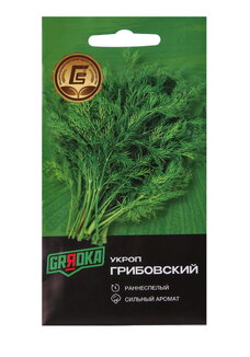 Почем пучок. Как выращивать свою зелень