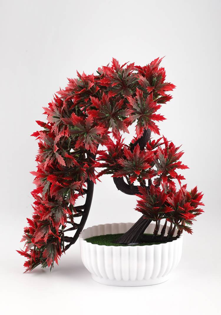 Искусственный бонсай шир.  750, рис. 3