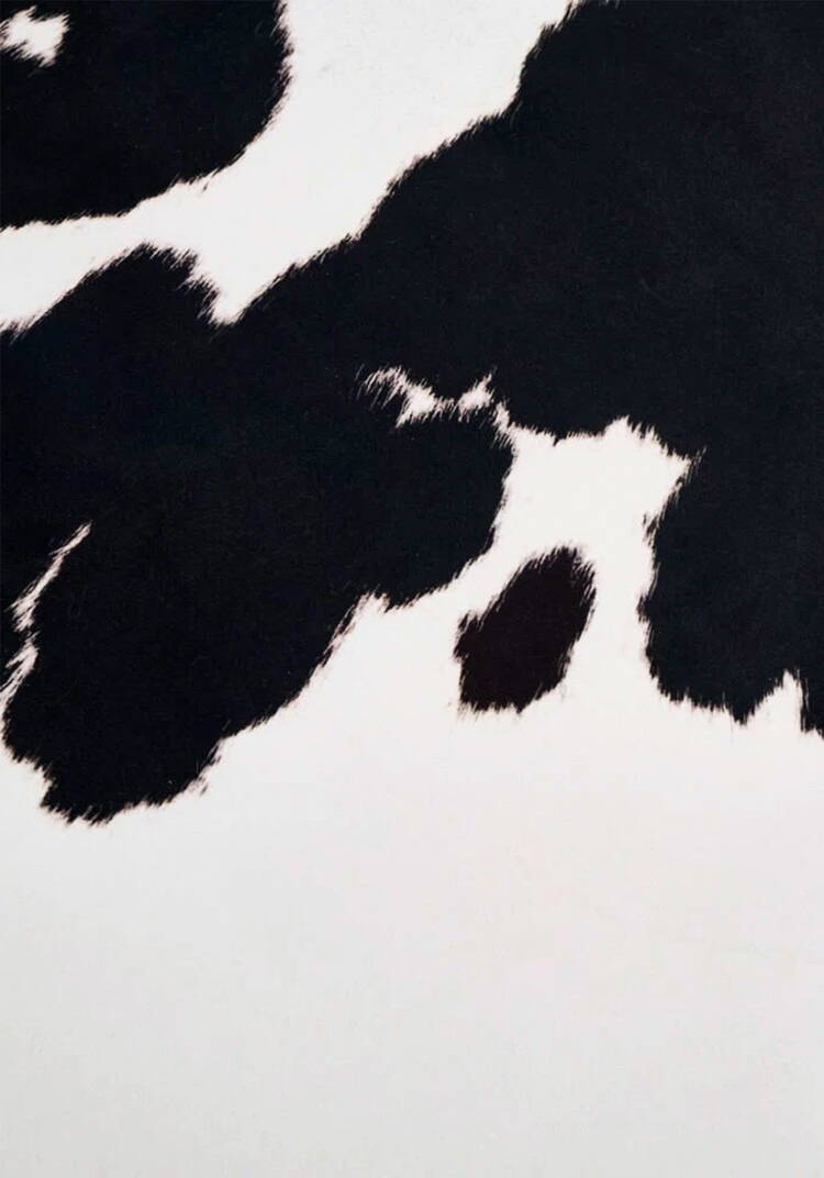 Шкура декоративная Ранчo шир.  750, рис. 23