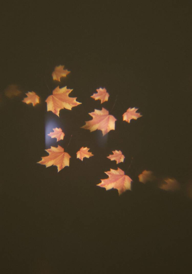 Проектор Магия праздника шир.  750, рис. 8