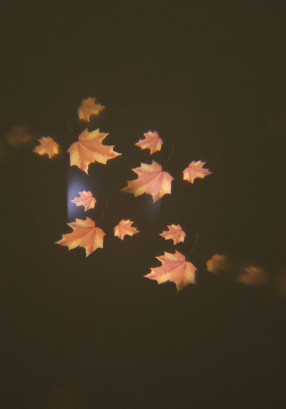 Проектор Магия праздника шир.  580, рис. 8