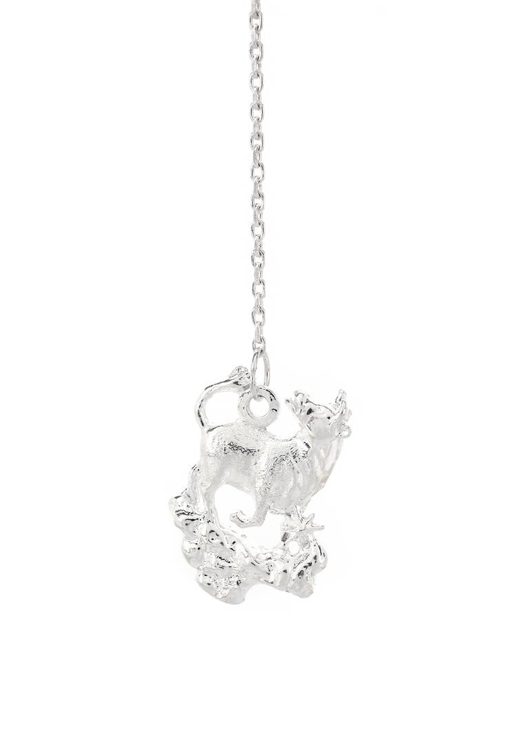 Серебряный ионизатор воды Зодиак шир.  750, рис. 22