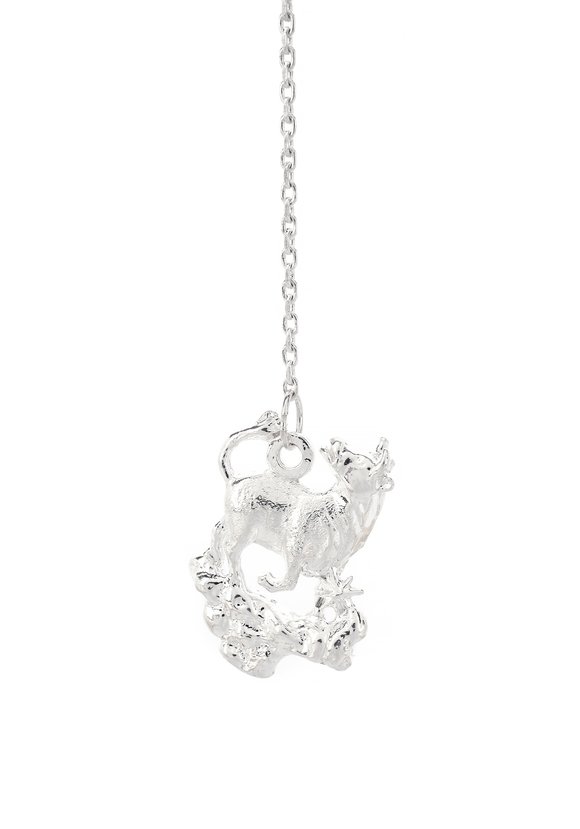 Серебряный ионизатор воды Зодиак шир.  580, рис. 22