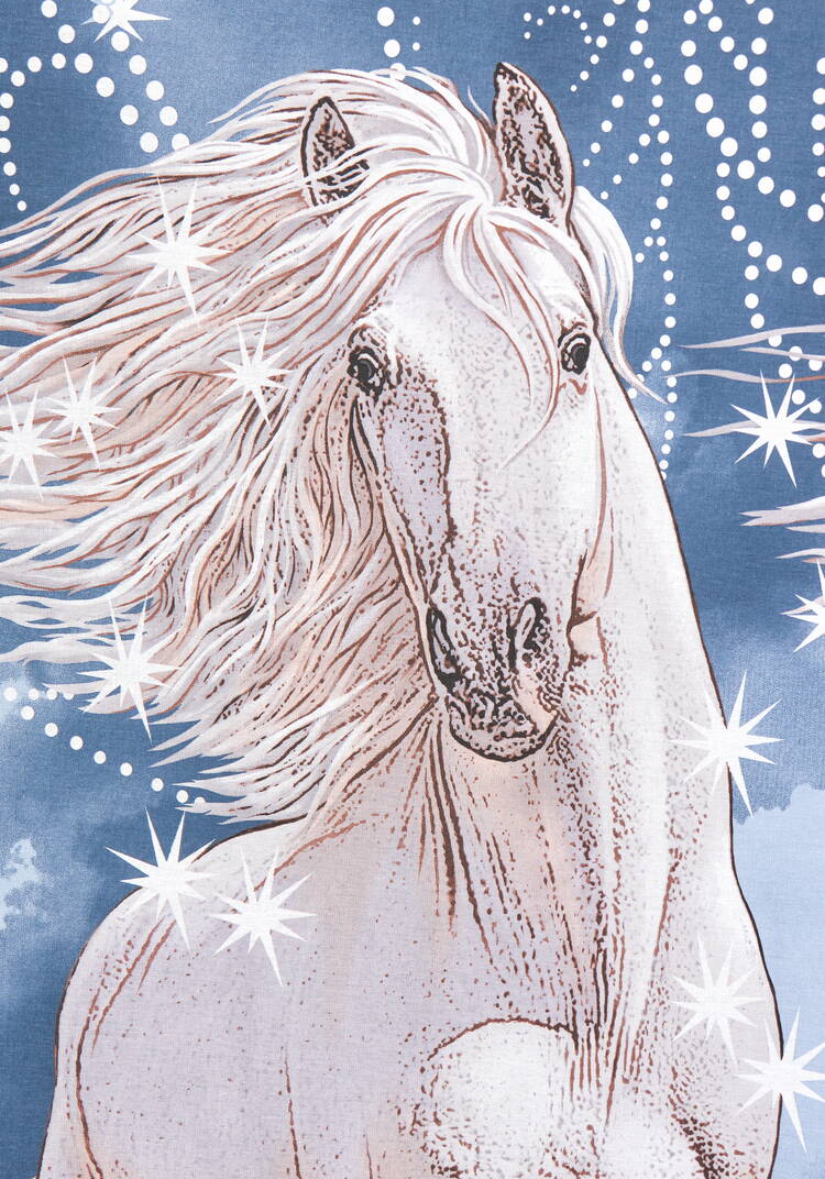 Пододеяльник бязь Пегас шир.  750, рис. 5