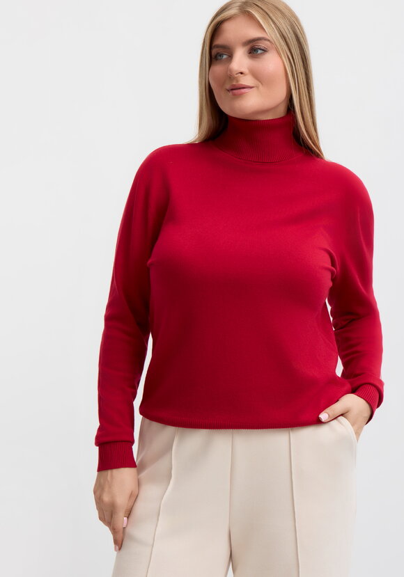 Водолазка Дамира шир.  580, рис. 1