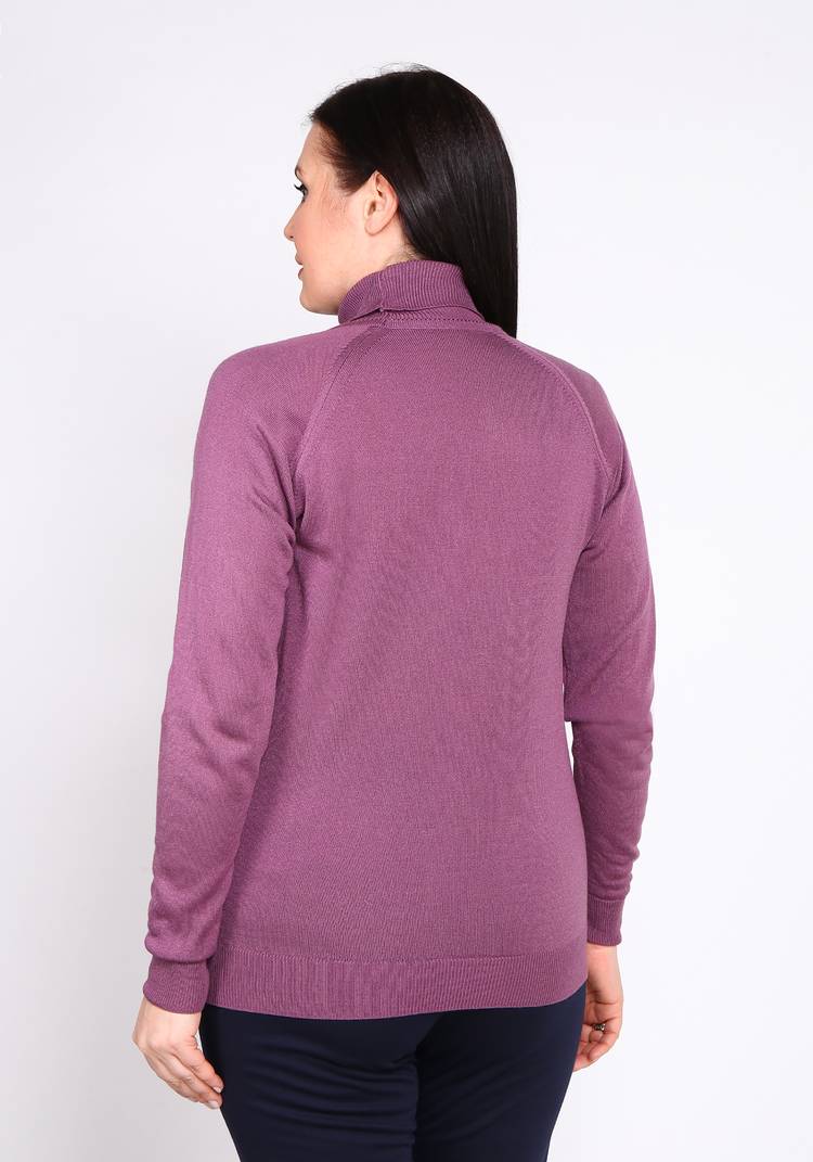 Водолазка Изысканное совершенство шир.  750, рис. 10