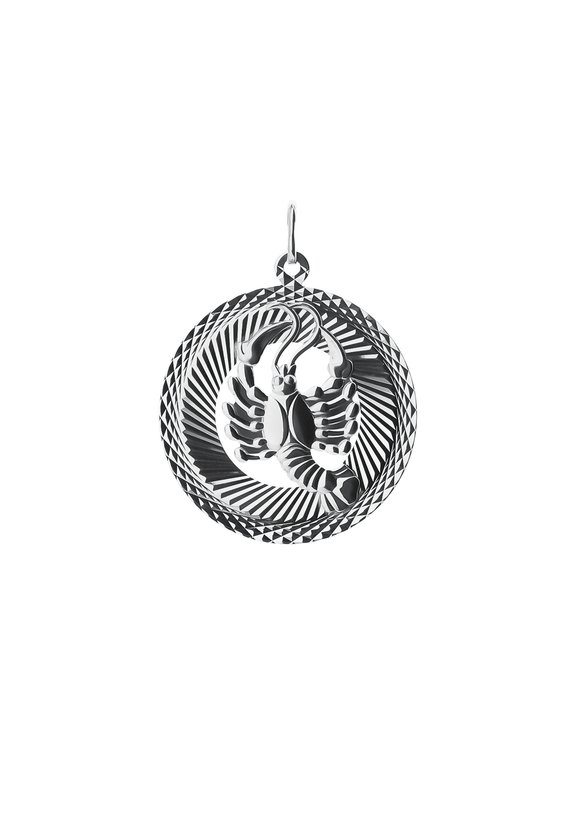 Подвеска  серебряная  Знак Зодиака шир.  580, рис. 11