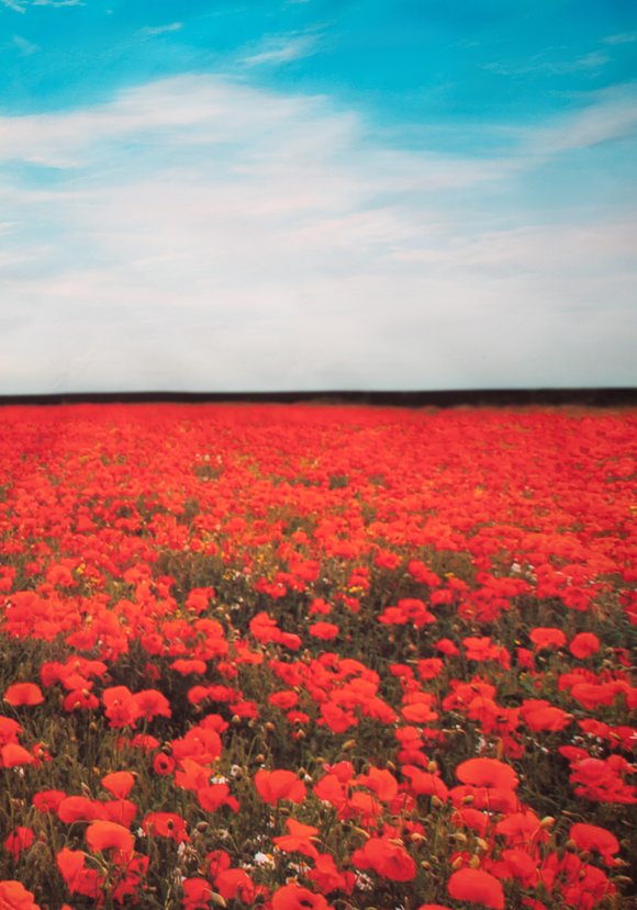 Декор для забора шир.  580, рис. 9