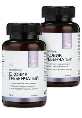 Ежовик для мозговой активности, 2 шт.