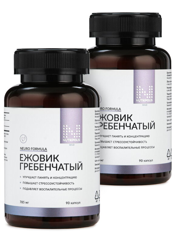 Ежовик для мозговой активости, 2 шт. шир.  580, рис. 1