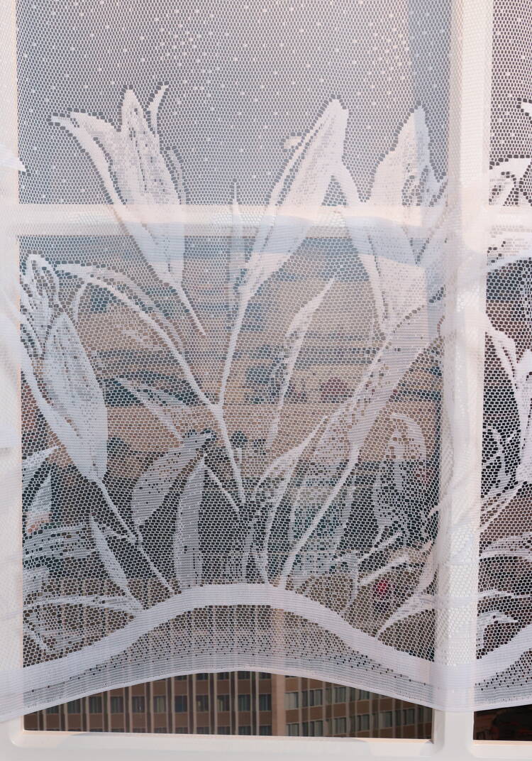 Тюль-занавеска Флора, 2 шт. шир.  750, рис. 5