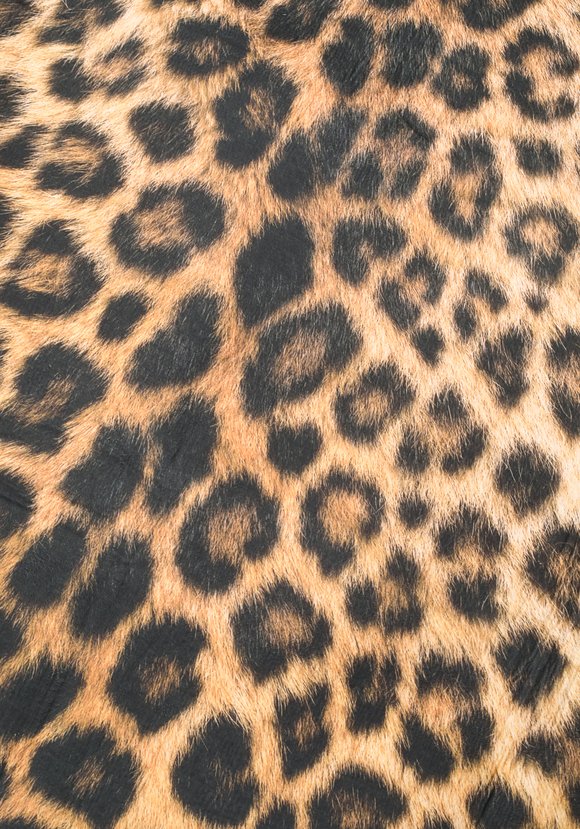 Ковер безворосвый  Модный принт шир.  580, рис. 2