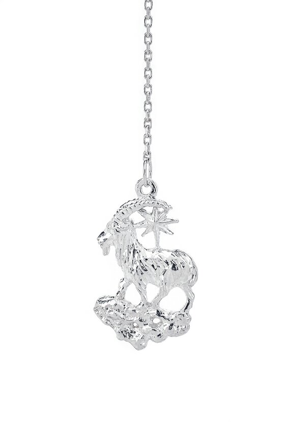 Серебряный ионизатор  воды Зодиак шир.  580, рис. 14