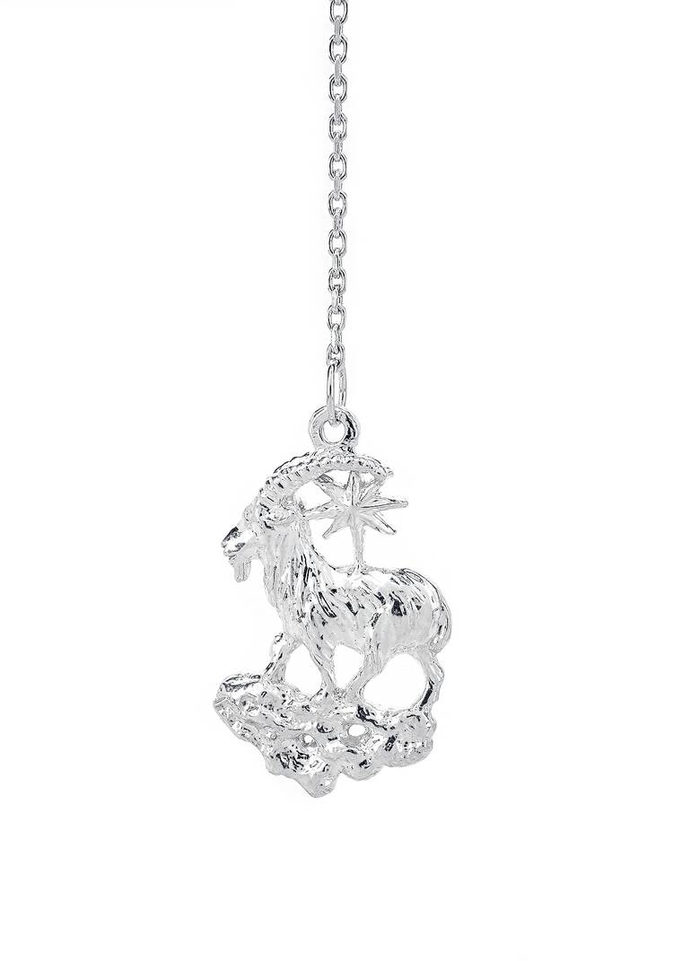 Серебряный ионизатор  воды Зодиак шир.  750, рис. 14