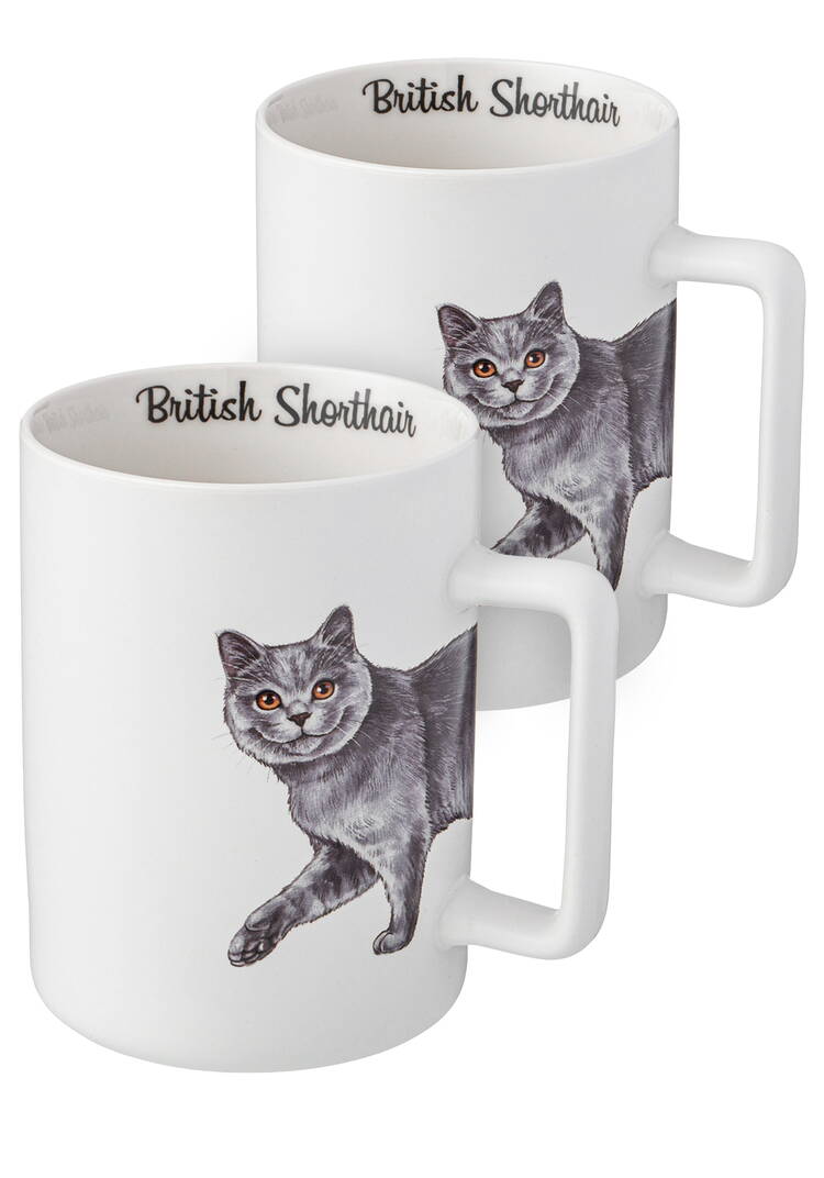 Кружки из фарфора Любимцы, 2 шт. шир.  750, рис. 5