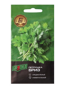 Почем пучок. Как выращивать свою зелень