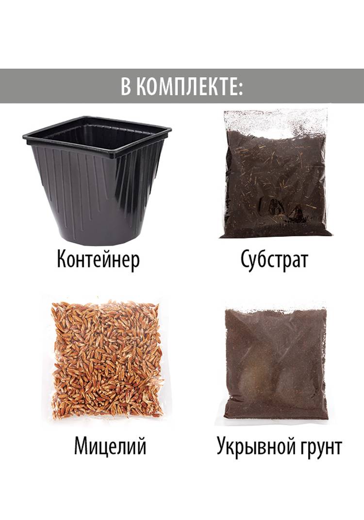 Домашняя грибная ферма Шампиньоны шир.  750, рис. 7