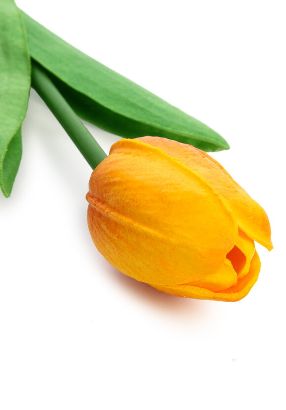 Букет тюльпанов, 9 шт. шир.  580, рис. 16