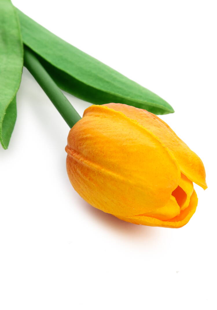 Букет тюльпанов, 9 шт. шир.  750, рис. 16