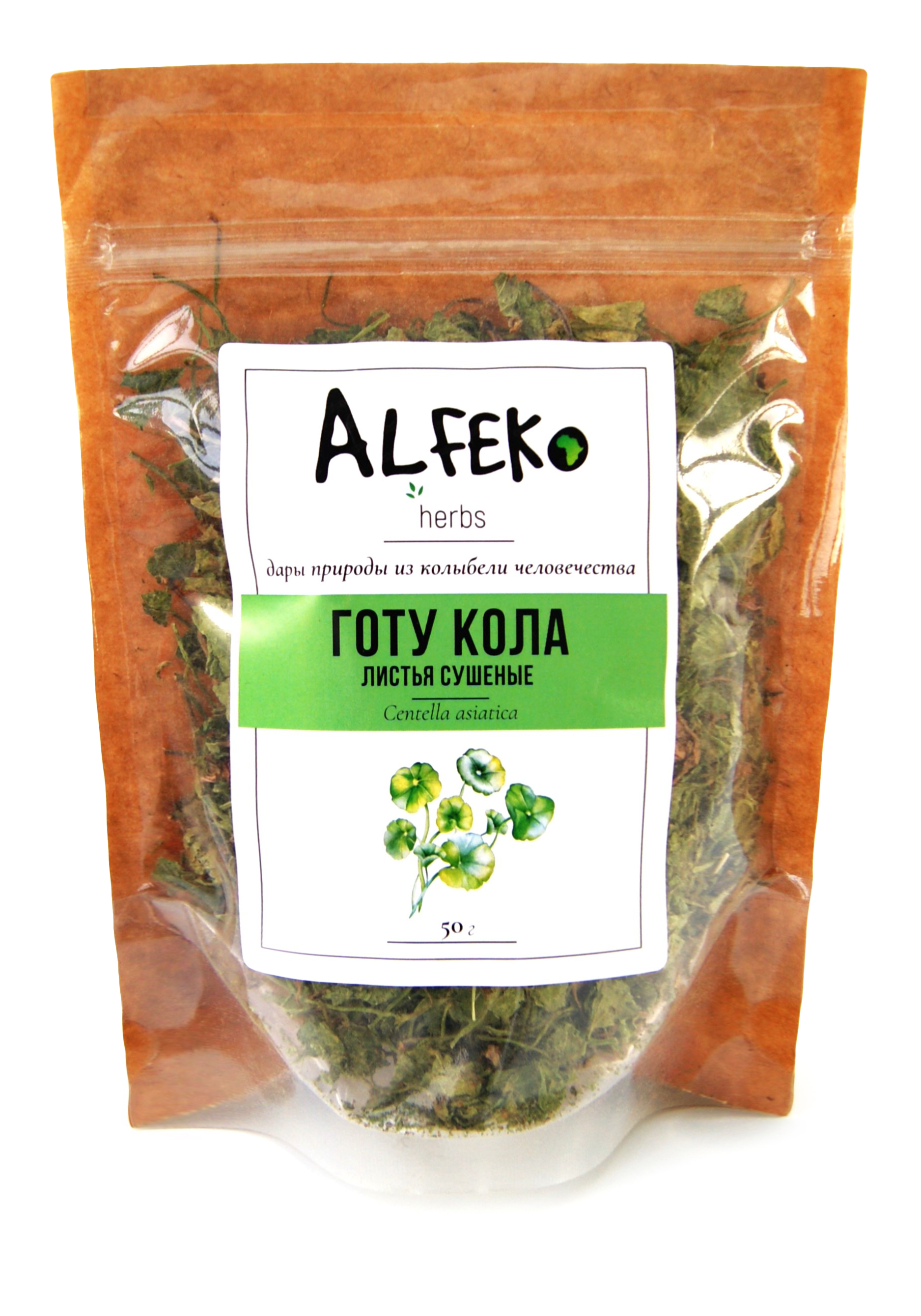 Травяной чай из готу колы