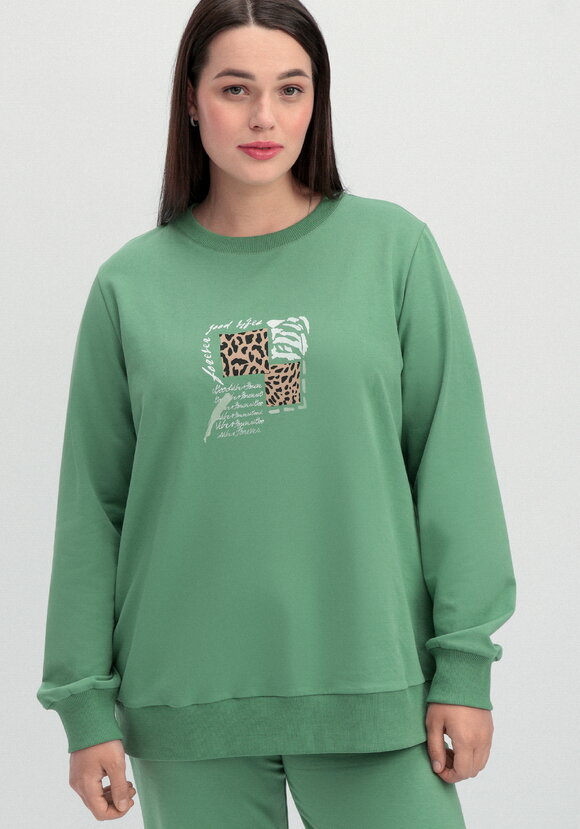 Комплект (брюки и свитшот с принтом) шир.  580, рис. 38