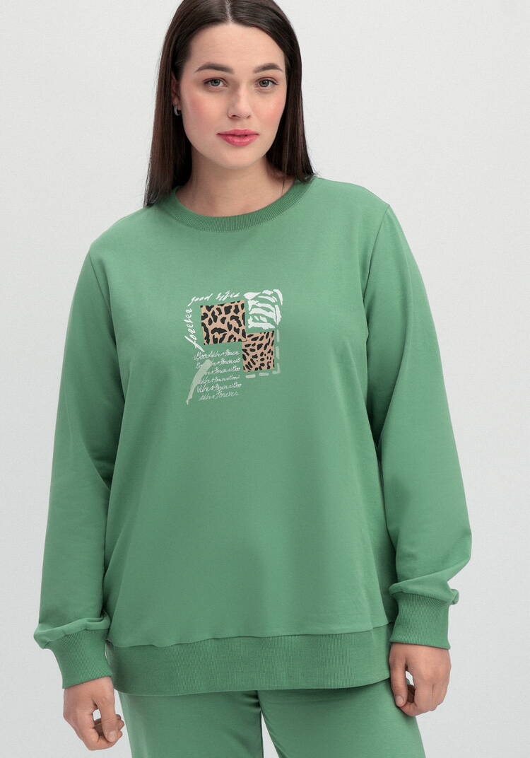 Комплект (брюки и свитшот с принтом) шир.  750, рис. 38