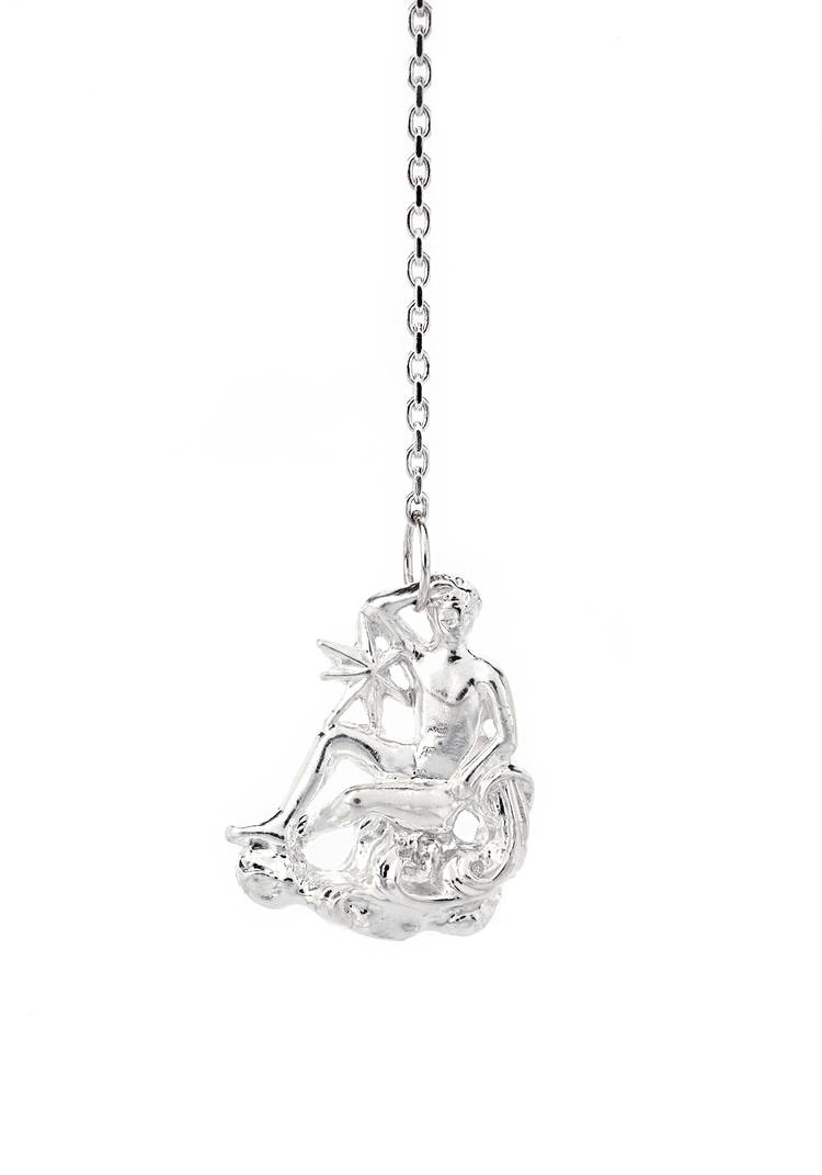 Серебряный ионизатор воды Зодиак шир.  750, рис. 6