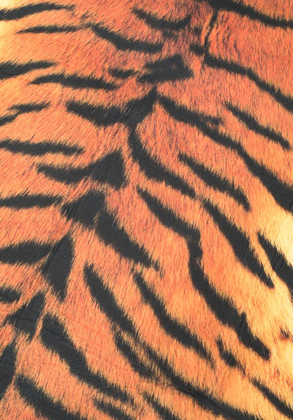 Ковер безворосвый  Модный принт шир.  580, рис. 6