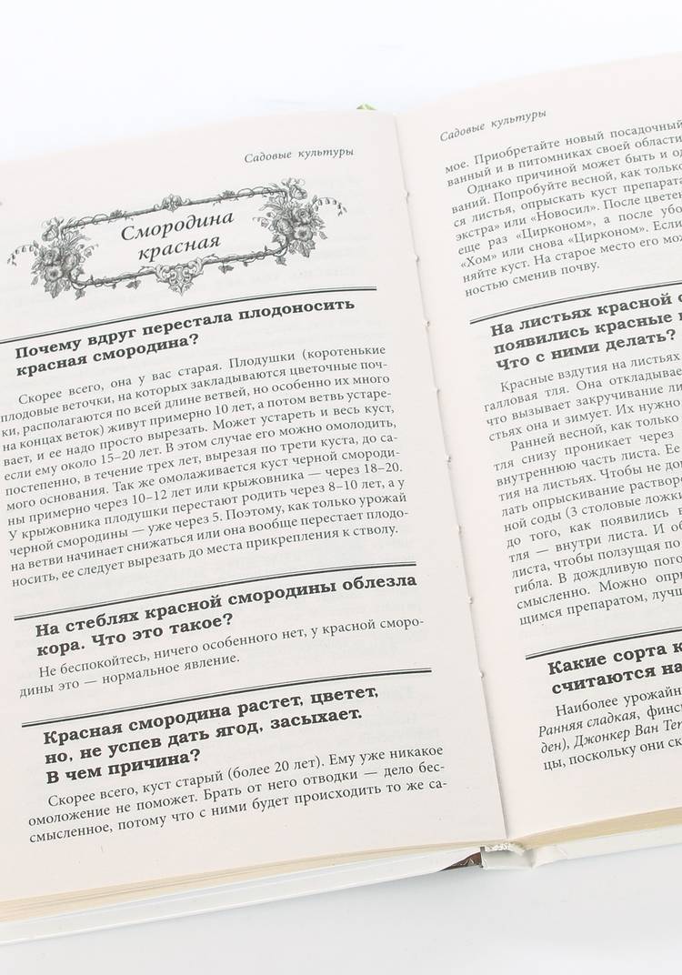 Как вырастить урожай на зависть соседям шир.  750, рис. 2