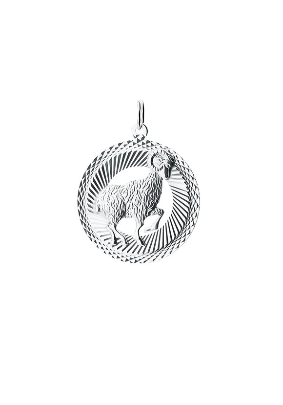 Подвеска  серебряная  Знак Зодиака шир.  580, рис. 6