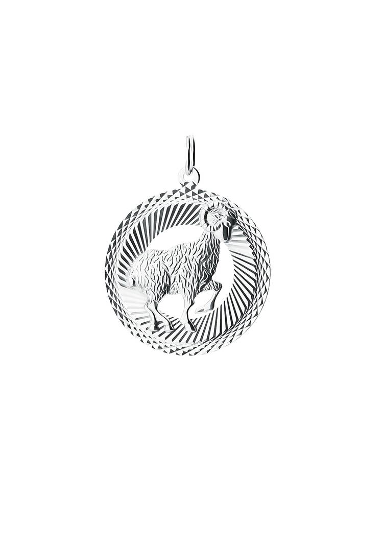 Подвеска  серебряная  Знак Зодиака шир.  750, рис. 6