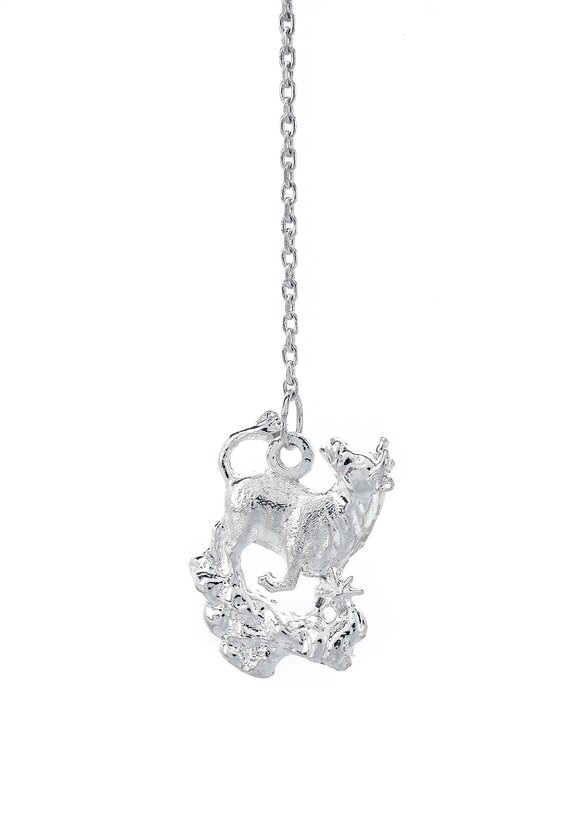 Серебряный ионизатор  воды Зодиак шир.  580, рис. 28