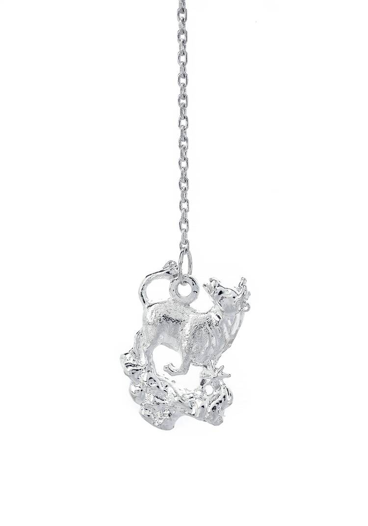 Серебряный ионизатор  воды Зодиак шир.  750, рис. 28