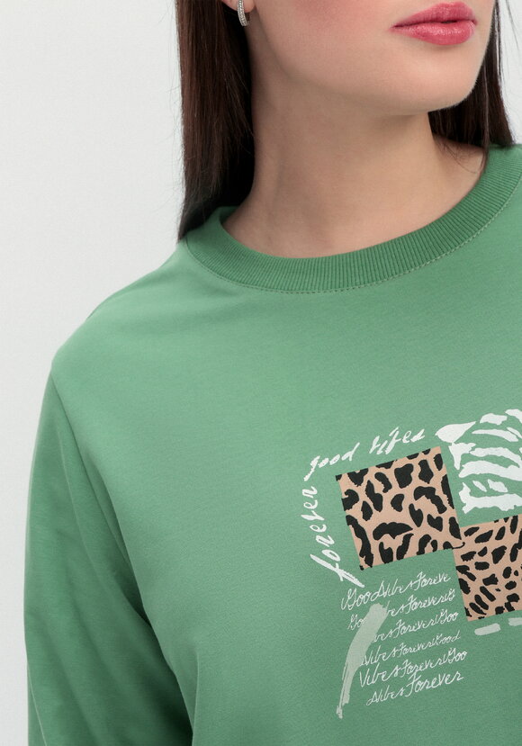 Комплект (брюки и свитшот с принтом) шир.  580, рис. 43