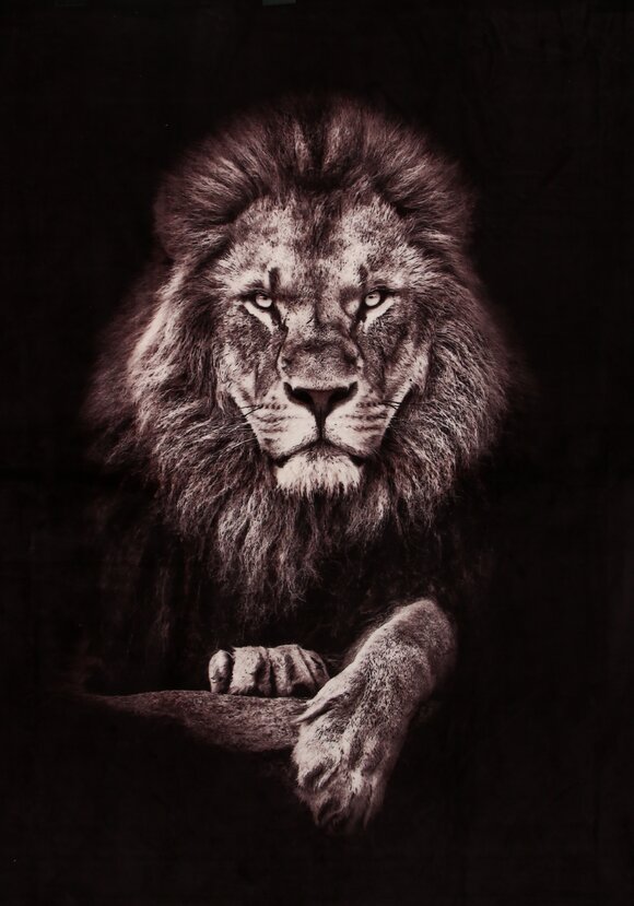 Плед-покрывало с принтом шир.  580, рис. 17