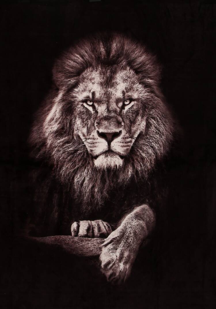 Плед-покрывало с принтом шир.  750, рис. 17