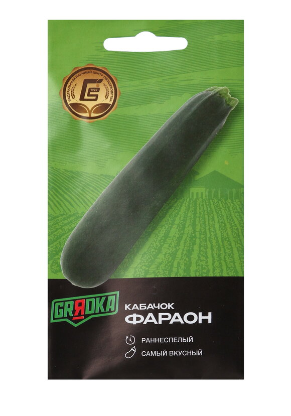 Всем по тыкве. Выращиваем, ухаживаем и едим шир.  580, рис. 3