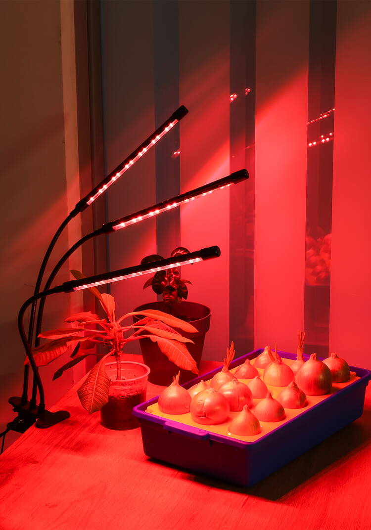 Фитолампа для растений, 3 в 1 шир.  750, рис. 3