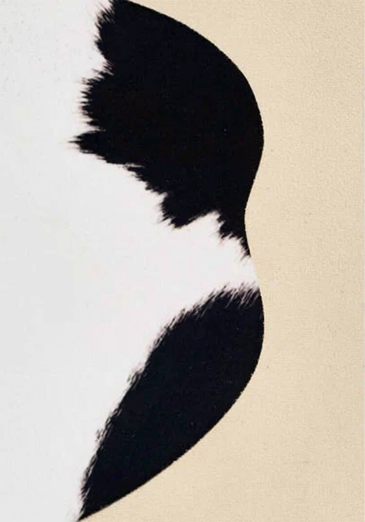 Шкура декоративная Ранчo шир.  750, рис. 24