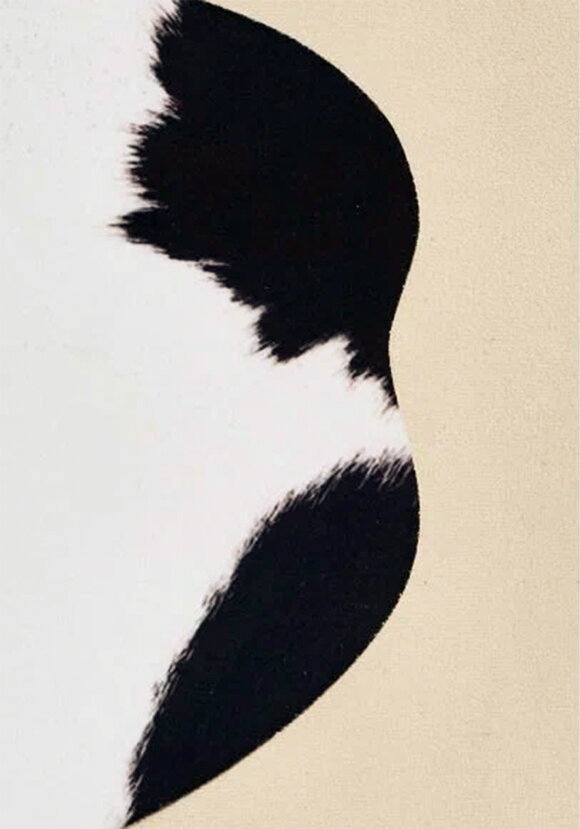 Шкура декоративная Ранчo шир.  580, рис. 24