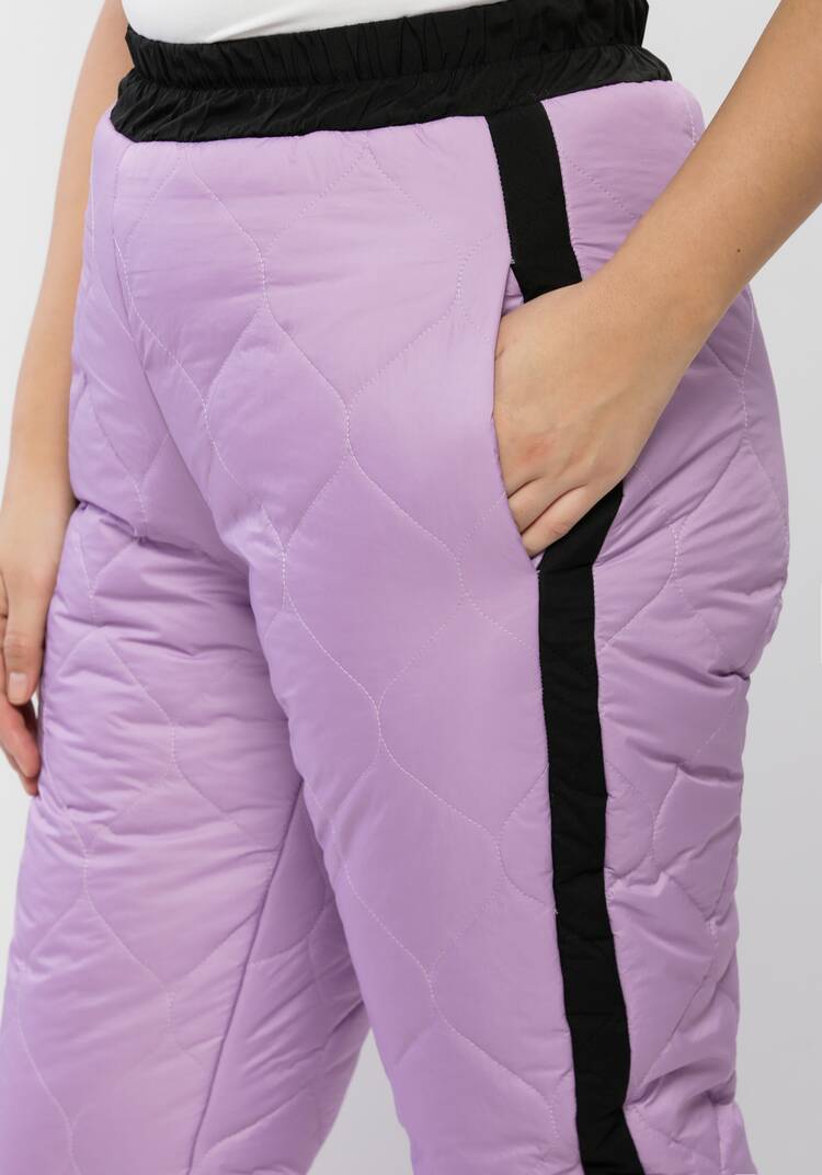 Брюки утепленные с лампасами шир.  750, рис. 17