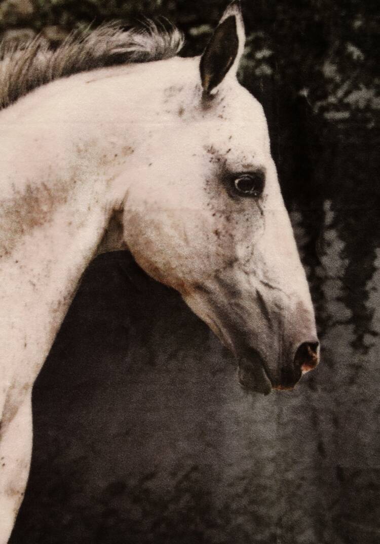 Плед-покрывало с принтом шир.  750, рис. 12