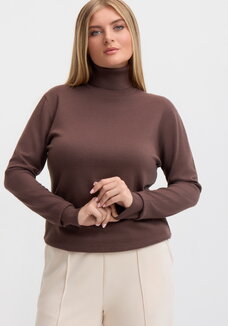 Водолазка Азалия