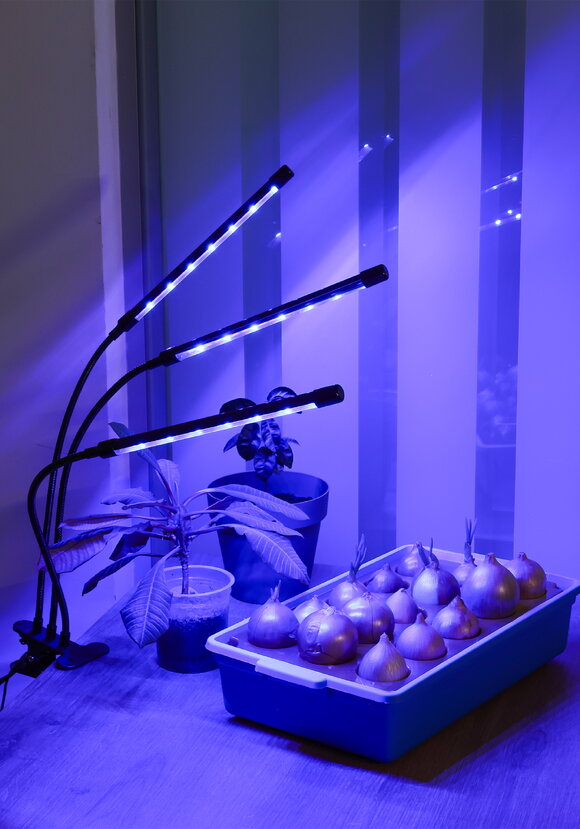 Фитолампа для растений, 3 в 1 шир.  580, рис. 1