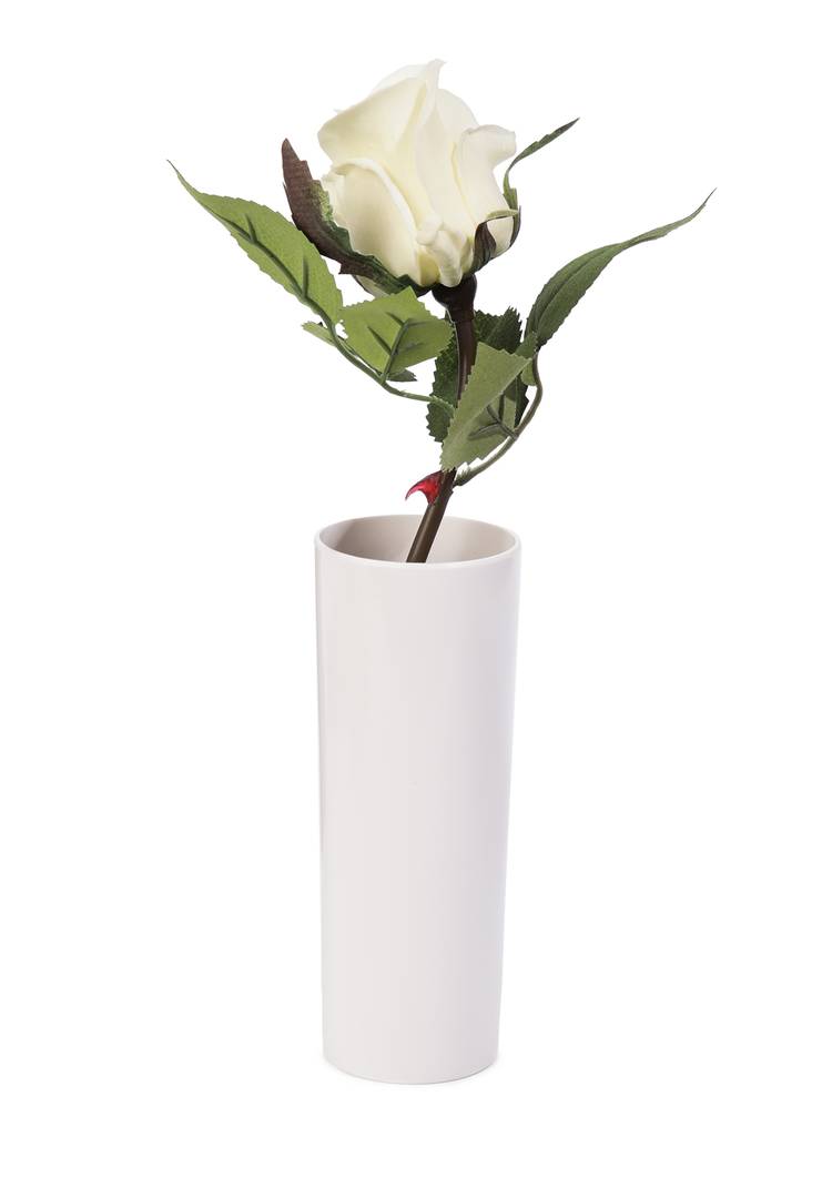 Светильник - ночник Белая роза шир.  750, рис. 1