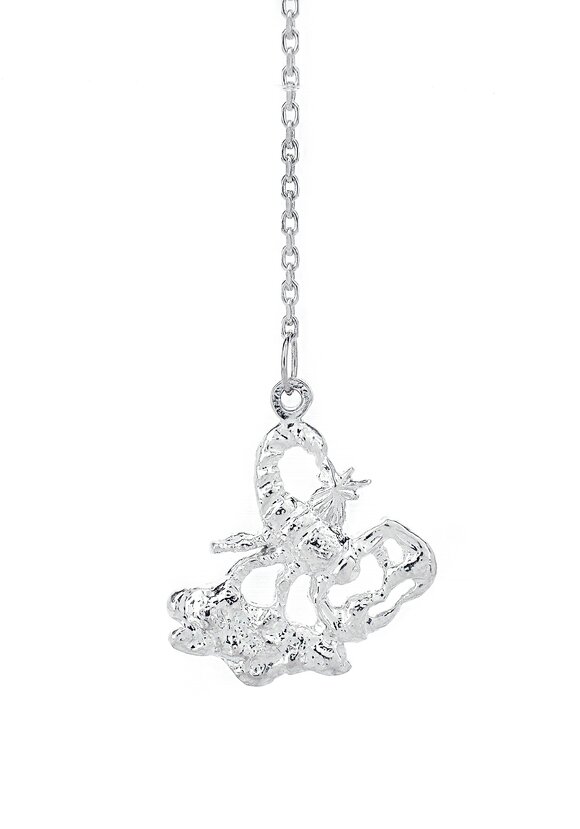 Серебряный ионизатор  воды Зодиак шир.  580, рис. 24