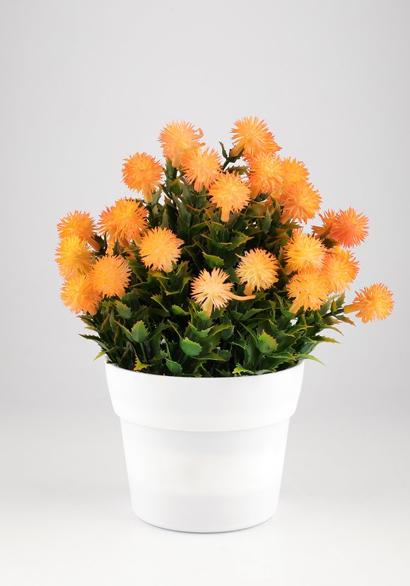 Искусственное домашнее растение в кашпо шир.  580, рис. 1