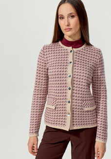 Пиджак с принтом гусиная лапка